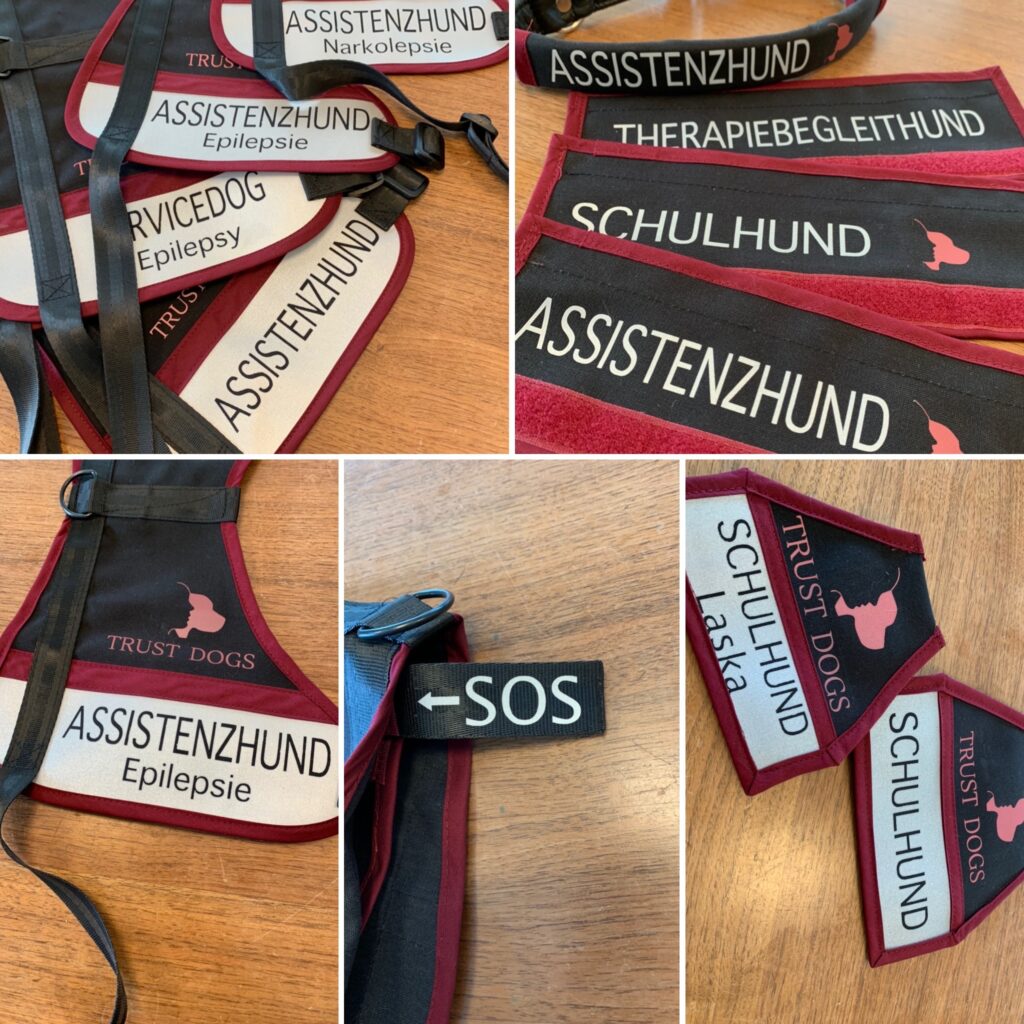 Verschiedene Assistenzhunde Westen